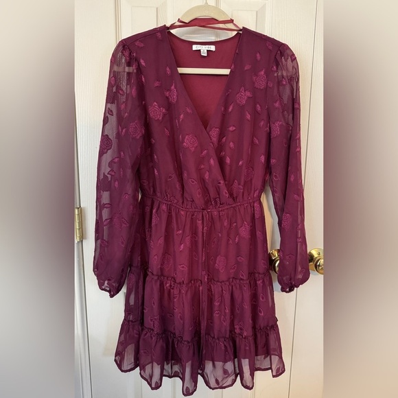 Fall Whimsigoth Lined Mini Dress with Cinched Waist Glitter Rose Mesh Medium - Picture 3 of 14